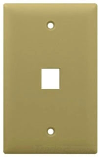 PASS WP3401-IV 1G WALL PLATE 1 PORT IV (M10)